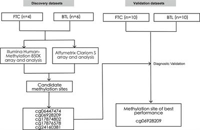 Integrative Analysis of DNA Methylation and Gene Expression Identified Follicular Thyroid Cancer-Specific Diagnostic Biomarkers